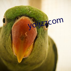 yoijzzcom