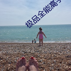 极品全(全)能高手