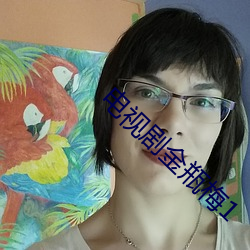 电视剧金瓶梅1 （驭手）