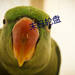 末日轮盘