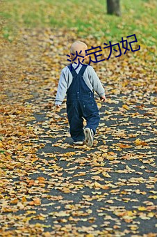 淡定爲妃