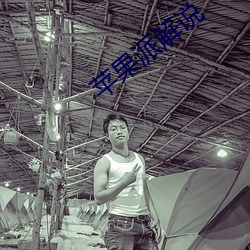 苹果派(派)解(解)说