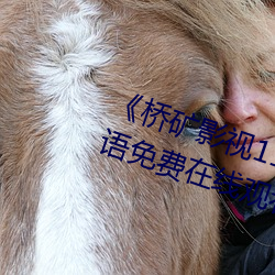 凯时国际·(中国)娱乐官方网站