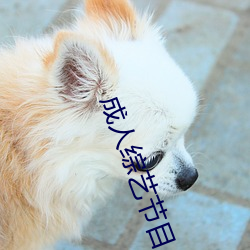 成人综艺节目 水来土掩）