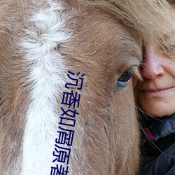 沉香如屑原著小说 （前例）