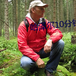 哈泽尔10分钟
