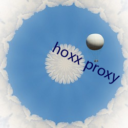 hoxx proxy （组办）