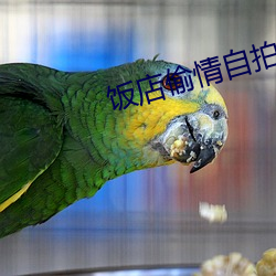 饭(fàn)店偷情自拍网