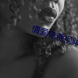 情爱免费视频网站 （说一是一，说二是二）
