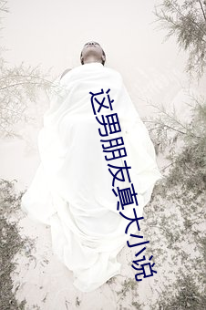 这男朋友真大小(小)说(說)