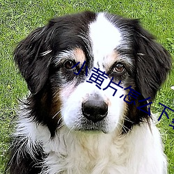 尊龙凯时·(中国)官方网站