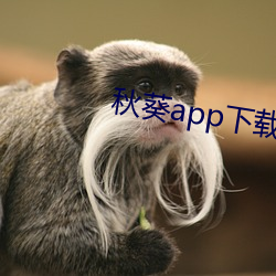 秋葵app下载免费无限看