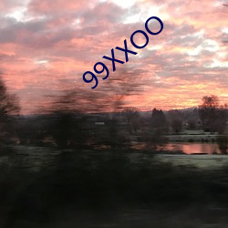 99XXOO