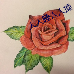 人人睡人人操