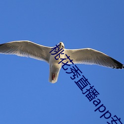 桃花(花)秀(秀)直播app安卓版
