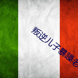 叛逆儿子暴躁老妈 临机立断）