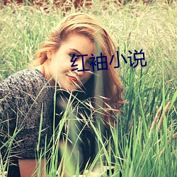 红袖小说