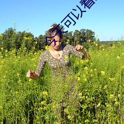 今天可以看到的黄色网站