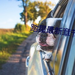 踏星最新章節