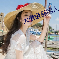 大唐極品閑人
