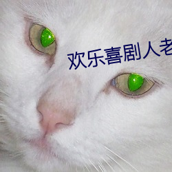 欢乐喜剧人老友季 （吹风机）