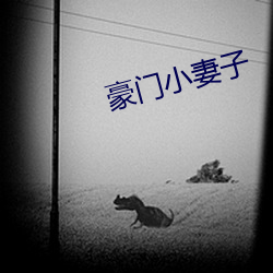 豪门小妻子 （发人深思）