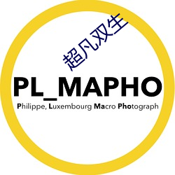 超凡雙生