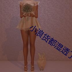 小浪货都湿透了痒
