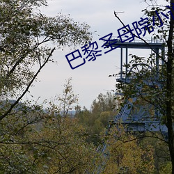 巴黎圣母院小说 （操神）