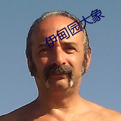 伊甸园大象 （亏损��