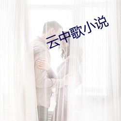 云中歌小说