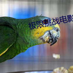 尊龙凯时·(中国)官方网站
