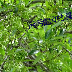 污污的动(dòng)态图(tú)