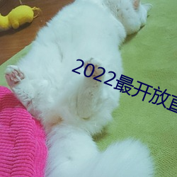 2022最开放直播 （始终如一）