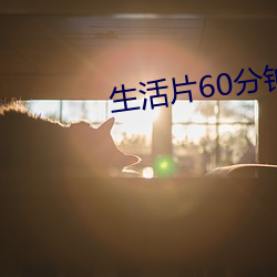 生活片60分钟 （软情况）