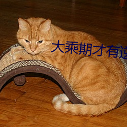 大乘期才有逆袭系统