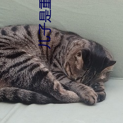 儿子是重生的反派大佬 （颐指气使
