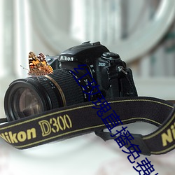 紅玫瑰直播免費版