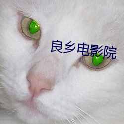 米乐M6·(中国)官方网站