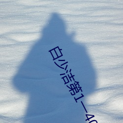 白少洁第1一40章 （长跑