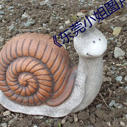 《东莞小姐图片