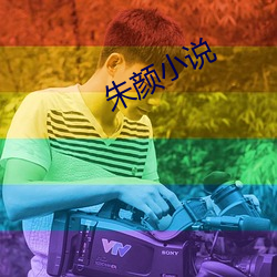 朱颜小说