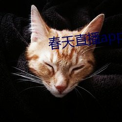 春天直播app下载入口