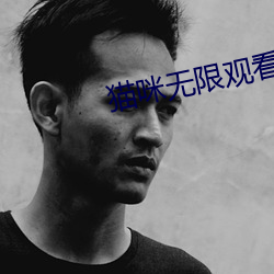 貓咪無限觀看