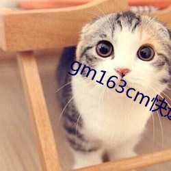 金年会(中国)官方网站