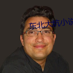 東北大炕小說