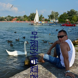 葉辰孫怡夏若雪最新章節