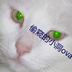 偷窥的小洞ova
