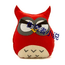 伪装者小说