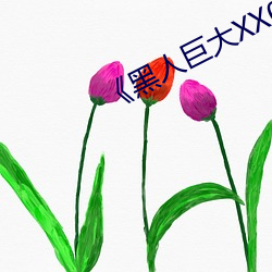 黑人巨(巨)大(大)XX00》